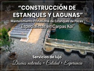 Construcción Diseño de Estanques y lagunas kois.
