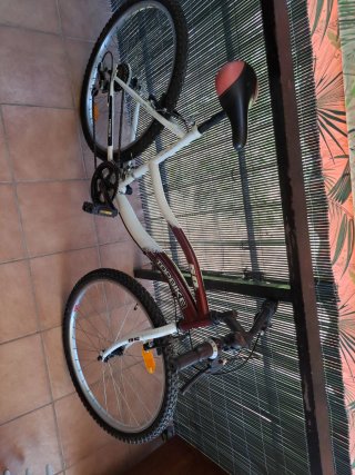 Bicicleta TOPBIKE 50 MOUNTAIN
