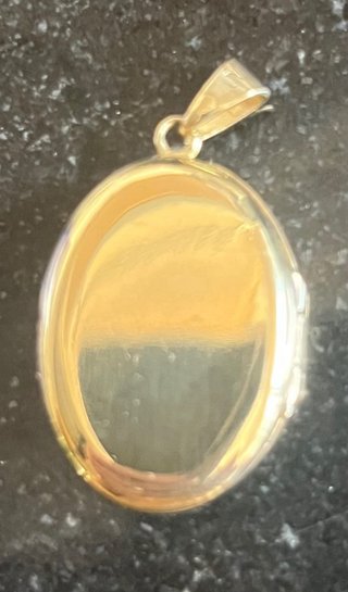 Colgante  Baño Oro con Piedra Roja