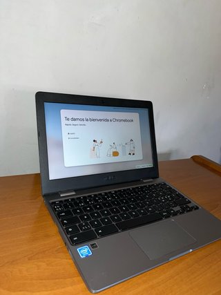 ASUS Chromebook C223NA 11.6 Plata