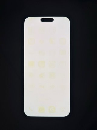 iPhone 14 Pro Max 256GB Argento Batteria 87% Originale