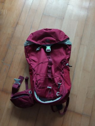 Mochila Quechua Morada 20L
