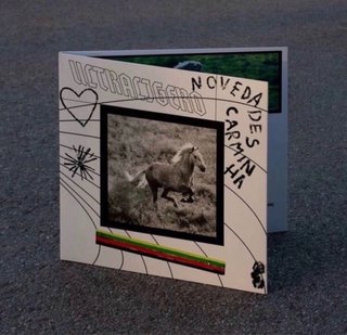 Vinilo Novedades Carminha Ultraligero
