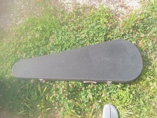 Chitarra Elettrica Charvel DX 1 FR