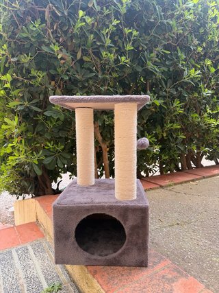 Torre per gatti
