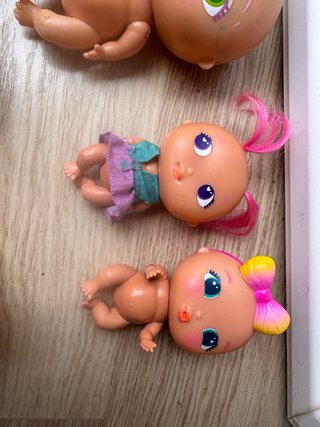 Lote Bellies y Mini Bellies