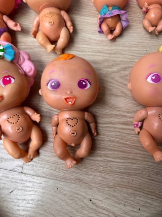 Lote Bellies y Mini Bellies