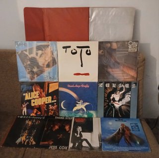 LOTE 10 VINILOS HARD ROCK & HEAVY METAL + ALBUM