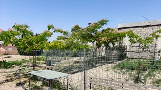 Parcela rustica en venta