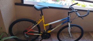 Bicicleta Montaña Colorida