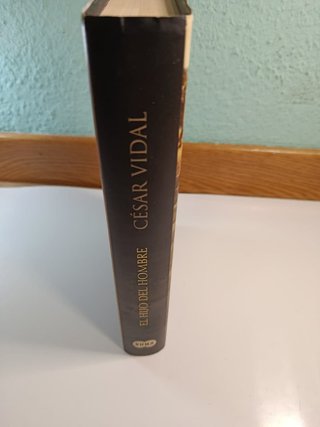 El hijo del hombre César Vidal Jesús novela
