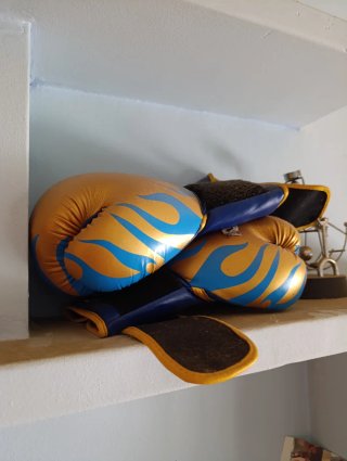 Guantes de boxeo dorados y azules