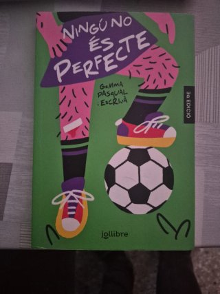 Ningú no és perfecte