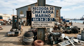 RECOGIDA GRATUITA