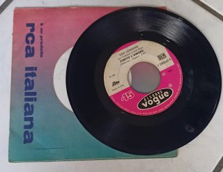 45 giri RCA italiana Peccato che sia finita così