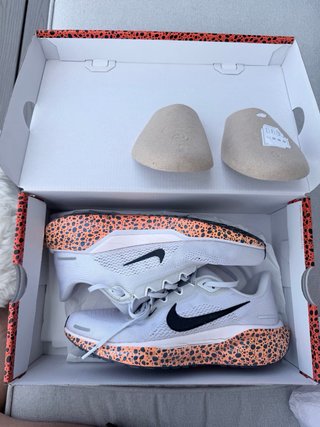 Zapatillas Nike Air Zoom Pegasus 41 (Talla 39)