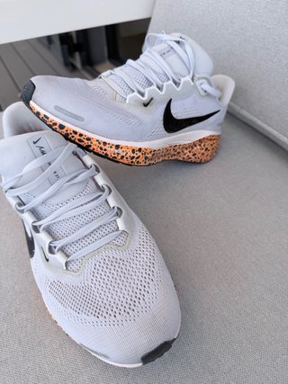 Zapatillas Nike Air Zoom Pegasus 41 (Talla 39)