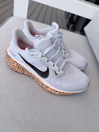 Zapatillas Nike Air Zoom Pegasus 41 (Talla 39)