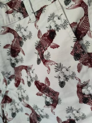 Bermudas Eleven Degrees Koi