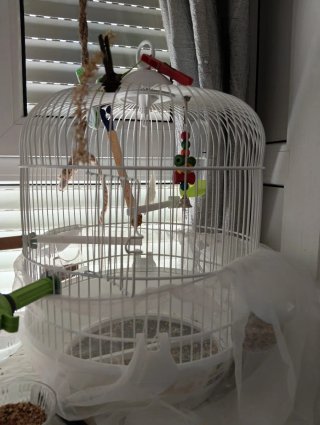 Jaula Redonda para Pájaros