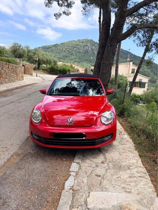 Volkswagen New beetle 2016