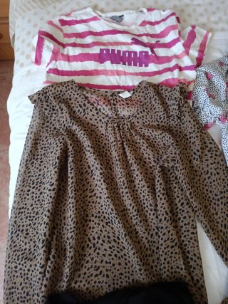 Lote 5 blusas mujer