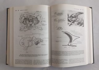 Zoología de los invertebrados