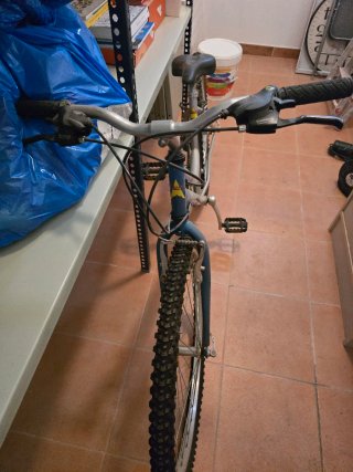 Bicicleta de Montaña