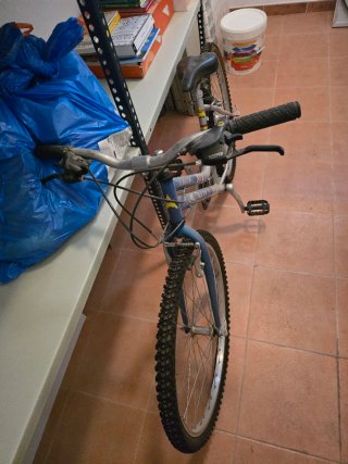 Bicicleta de Montaña
