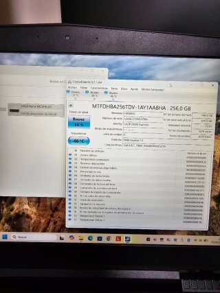 Lote SSD Micron 256GB M.2 NVMe Gen3 x4