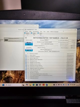 Lote SSD Micron 256GB M.2 NVMe Gen3 x4