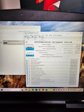 Lote SSD Micron 256GB M.2 NVMe Gen3 x4