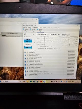Lote SSD Micron 256GB M.2 NVMe Gen3 x4