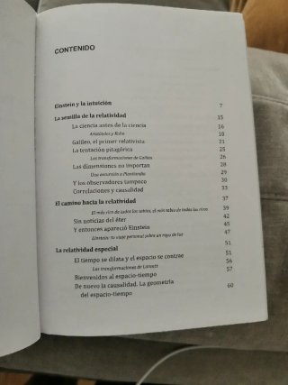 Libro Persiguiendo a Einstein