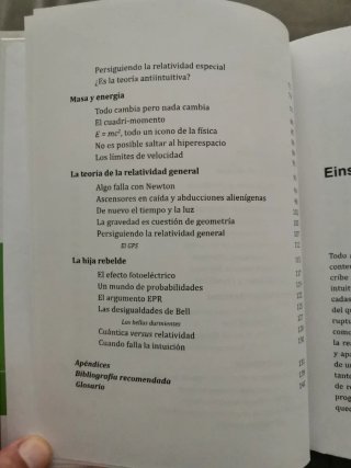 Libro Persiguiendo a Einstein