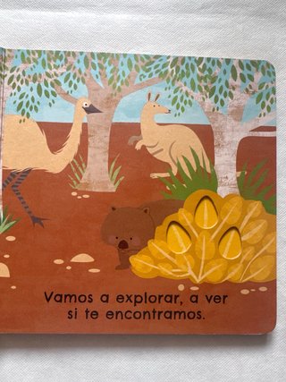 Koala, ¿dónde estás?: Un libro para tocas. Sin ...