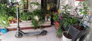 Patinetes Xiaomi en Venta
