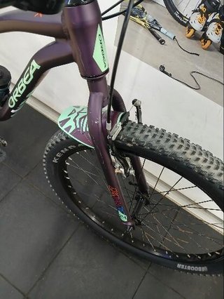 Orbea