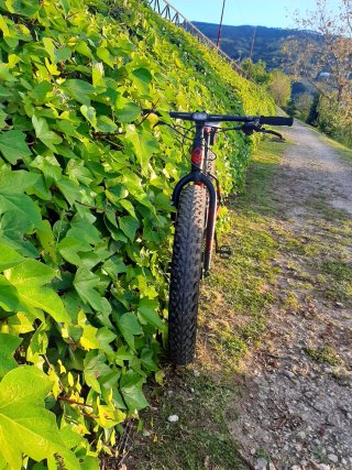 Bicicleta Fat Bike Megamo Great