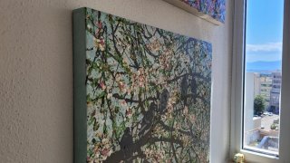 Paint on canvas. Trees texture 2 (Birds and Trees)
