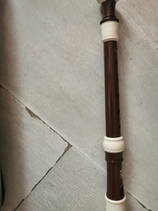 Flauta dulce con funda