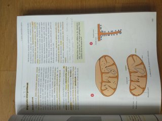 Biologia Batxilergoa 2 Erein