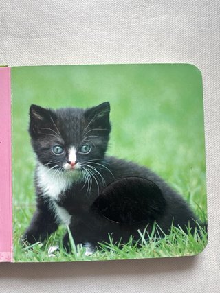 Cuento Toca toca animales texturas