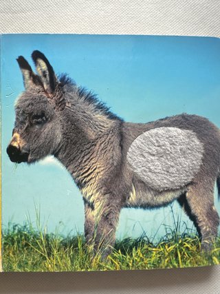 Cuento Toca toca animales texturas