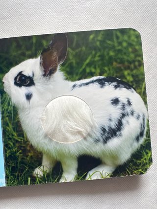 Cuento Toca toca animales texturas