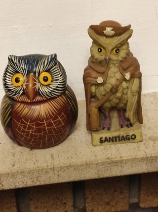 Due figure di gufi da collezione