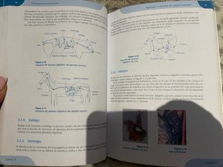 Libro fundamentos zootecnicos 1er curso