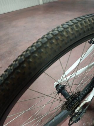 Bicicleta Biocycle 24 pulgadas