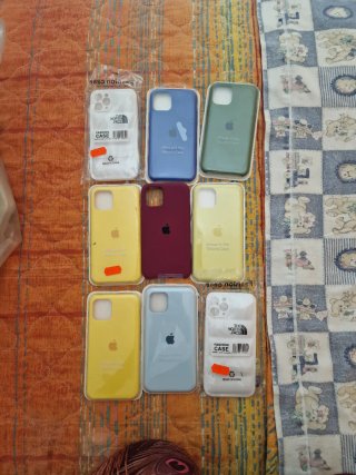 Cover iPhone 11 Pro The North Face