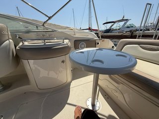 Sea Ray Sundeck 270 V8 425hp 8 metros barco